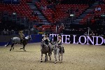 Quadrille - 00875